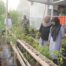 HET Pupuk Turun 20 Persen, Petani Pekalongan Bisa Hemat Biaya Tanam