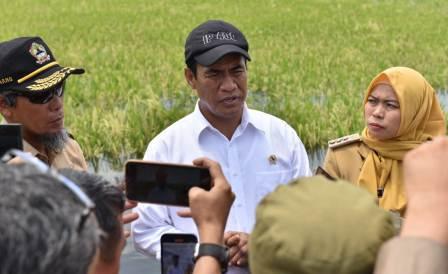 Mentan Salurkan Rp 30 Miliar untuk Petani Korban Banjir di Demak, Kudus, dan Grobogan