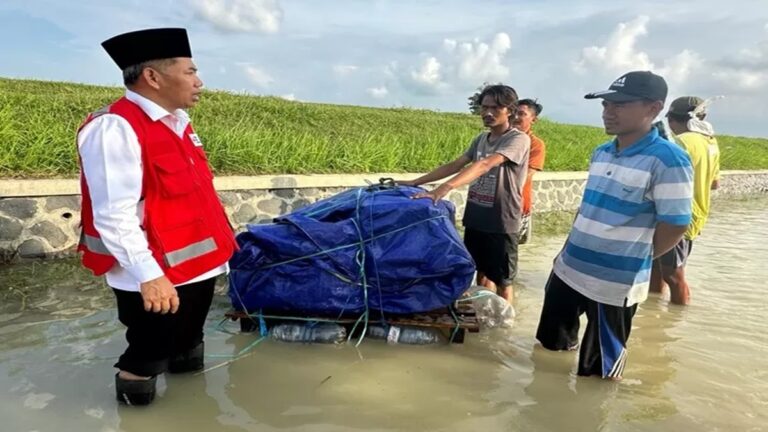 Rektor USM Tinjau Relawan Mahasiswa Bantu Korban Banjir Demak