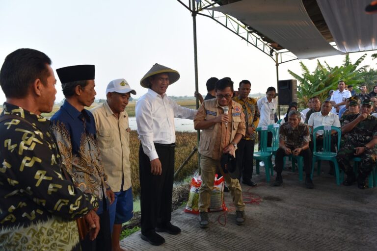Mentan Minta Bulog Serap Gabah Petani Terdampak Banjir