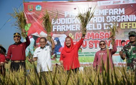 Wali Kota Semarang, Hevearita Gunaryanti Rahayu saat melaksanakan panen Demfarm Budi Daya Padi Organik dan Farmer Field Day di Kelurahan Tambangan, Kecamatan Mijen, Kota Semarang, Selasa (7/5/2024).