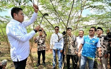 Kembangkan Bahan Co-Firing Biomassa, PLN Bersama Kementan Luncurkan Model Pertanian Terpadu