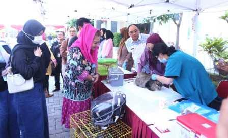 Cegah Penyebaran Rabies, Pemkot Semarang Gelar Vaksinasi dan Sterilisasi Kucing Anjing Gratis