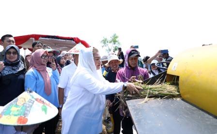 Pemkot Semarang dan BRIN Siap Jadikan Semarang Pionir Budidaya Pangan Berkelanjutan