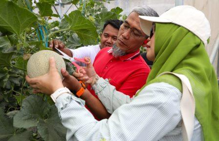 Generasi Muda Disorong Kembangkan Pertanian Modern