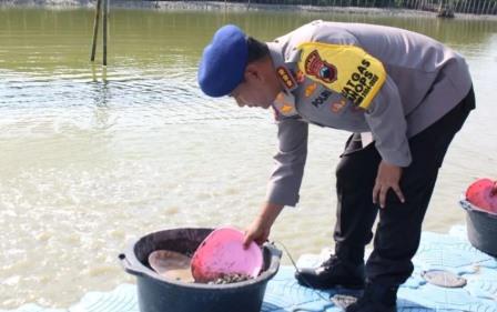 Ditpolairud Polda Jateng Tebar 5 Ton Benih Kerang di Demak