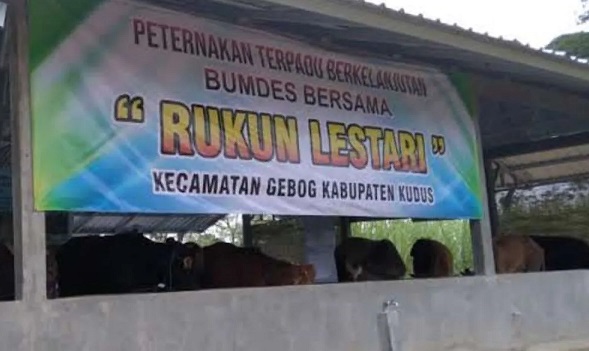 Pemkab Kudus Dukung Penggunaan 20 Persen Dana Desa untuk BUMDes