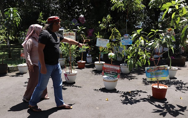 Gantikan Karangan Bunga, Bupati Temanggung Budayakan Berkirim Ucapan melalui Bibit Tanaman