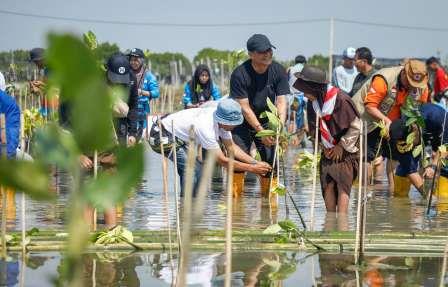 Galakkan Gerakan Mageri Segoro, Ahmad Luthfi Tanam 1,5 Juta Mangrove di Pesisir Jateng
