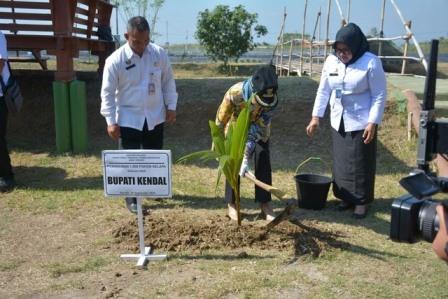 Lahan Pertanian Lapas Terbuka Kelas IIB Kendal Ditanami 1.000 Bibit Kelapa