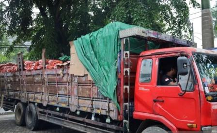 Bea Cukai Kalbagbar Gagalkan Penyelundupan 30 Ton Bawang Bombai