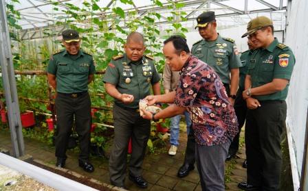 Kolaborasi Uji Coba Gandum Tropis, Sinergi TNI dan Akademisi untuk Perkuat Ketahanan Pangan Nasional