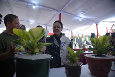 Buka Pameran Anthurium dan Aglaonema, Agustina Wilujeng: Rawat Bunga Itu Bawa Rezeki Luar Biasa!
