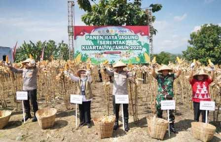 Dukung Ketahanan Pangan Nasional, Polda Jateng Bersama Petani Panen 690 Hektar Lahan Jagung