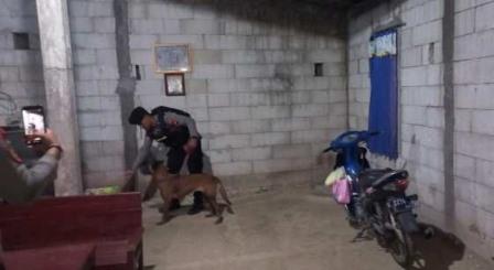 Pascaledakan Petasan di Ngraji, Polres Grobogan Kerahkan Unit K9 untuk Sterilisasi