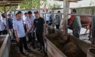 Jelang Idul Adha, Ahmad Luthfi Minta Layanan Kesehatan Hewan Keliling Diintensifkan