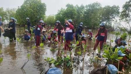 Perkuat Benteng Pesisir, Warga Kota Pekalongan Tanam 1.000 Mangrove