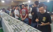 Dirlantas Polda Jateng Brigjen Pol Pratama Berharap Kontes Batu Bisa Digelar Tiap Tahun di Semarang