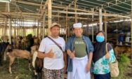 Dr Kukuh Sudarmanto Kurban 10 Kambing di Masjid USM