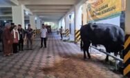 Pemkot Semarang Mulai Distribusikan Hewan Kurban, Sapi 920 Kilogram Jadi Perhatian Warga