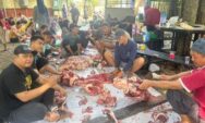 Sembelih 4 Sapi dan 17 Kambing, USM Bagikan Daging Kurban ke Masyarakat Terdampak Rob