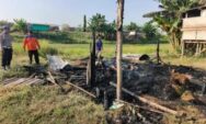 Kandang Ternak Terbakar, 23 Kambing di Undaan Lor Mati Terpanggang