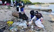 Pemkab Jepara Bersihkan Pantai,Terkumpul 263,7 Kilogram Sampah