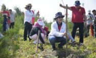 Wali Kota Agustina Komitmen Jaga Lingkungan Pesisir, Gelar Aksi Bersih dan Tanam Cemara Laut