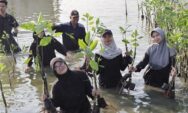 BEM USM dan Rotary Club Bimasena Tanam 1.000 Bibit Mangrove di Kawasan Rumah Bambu PokMasWas Manunggal Bahari