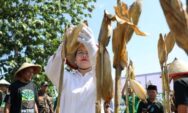 Hadiri Panen Raya Jagung GP Ansor Kota Semarang, Agustina Apresiasi Inisiasi Generasi Muda Bantu Perkuat Ketahanan Pangan
