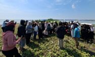 Mahasiswa Pariwisata USM Tanam Mangrove di Ekoeduwisata Mangrove Tapak