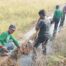 Jaga Swasembada Pangan, Petani Sukoharjo Diminta Bersihkan Irigasi