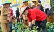 Wali Kota Semarang Agustina Wilujeng Dorong Urban Farming di Lahan Terbatas