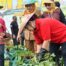 Wali Kota Semarang Agustina Wilujeng Dorong Urban Farming di Lahan Terbatas